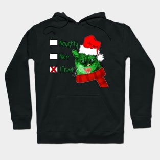 Grinch Christmas Kitty Hoodie